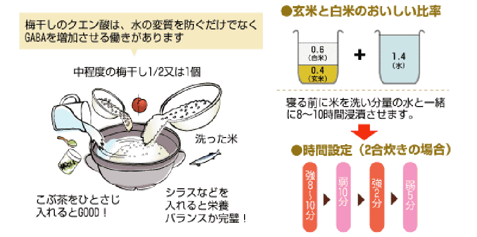 梅干しのクエン酸は、水の水質を防ぐだけでなくGABAを増加させる働きがあります。玄米と白のおいしい比率